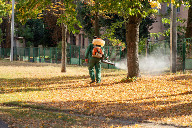 Mount Angel, OR Pest Control Company